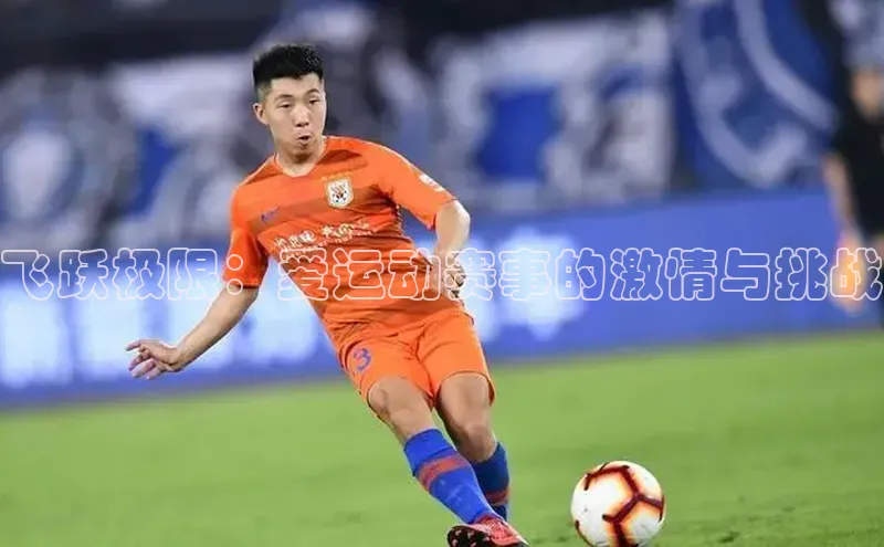 欧陆平台登录地址壹网壹创