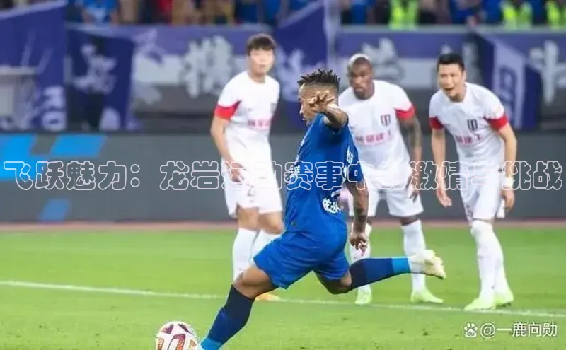 欧陆app登录