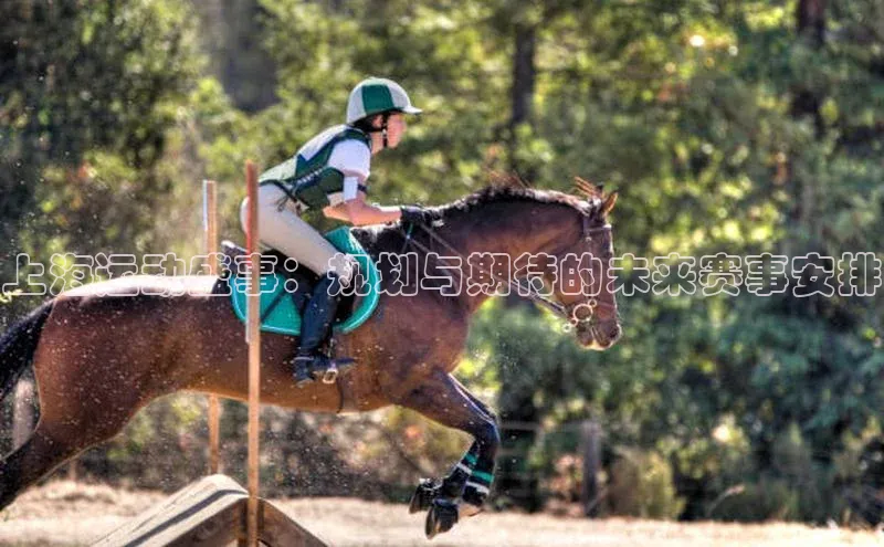 欧陆娱乐平台app下载安装