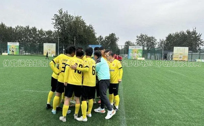 欧陆娱乐平台登录